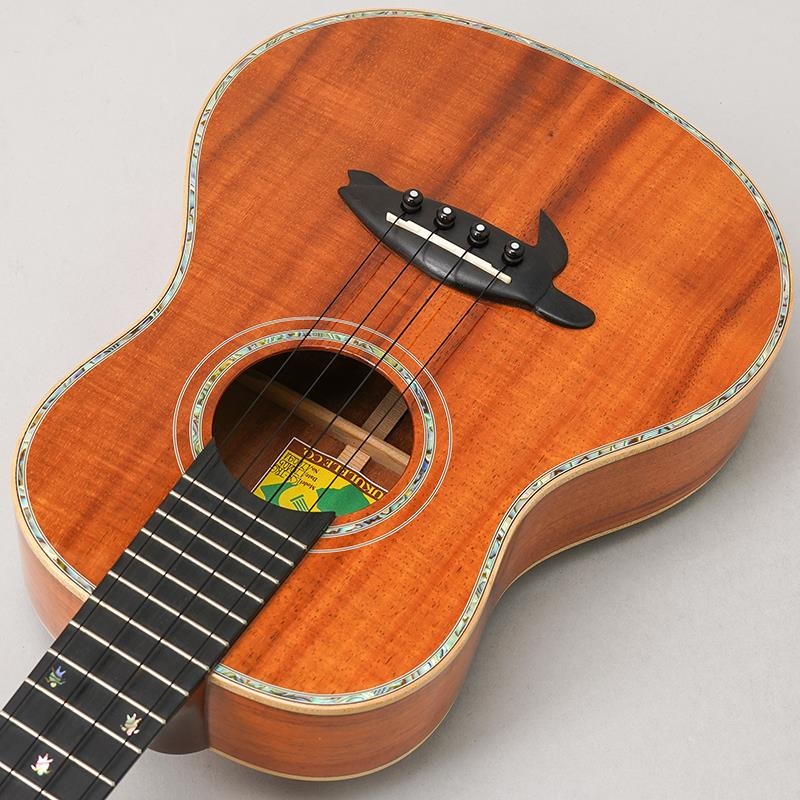 BIG ISLAND USED 中古 KX-TRG ビッグアイランド 画像4