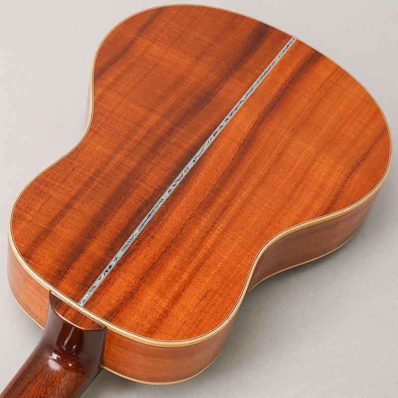 BIG ISLAND USED 中古 KX-TRG ビッグアイランド 画像5