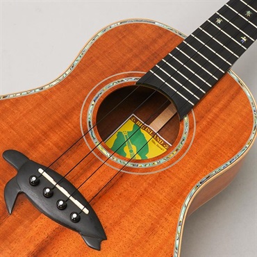 BIG ISLAND USED 中古 KX-TRG ビッグアイランド 画像6