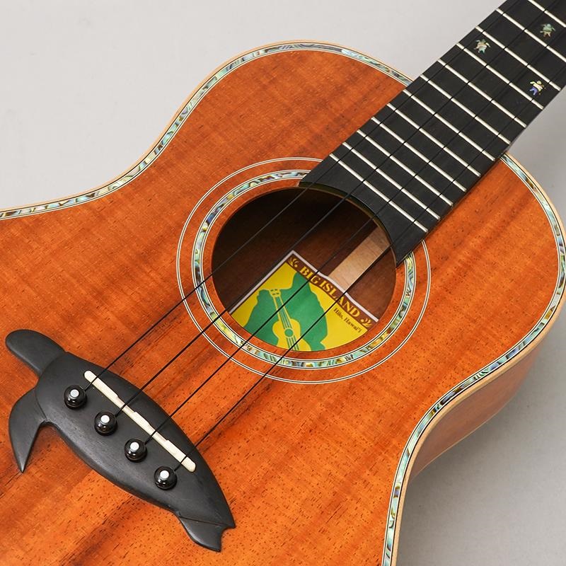 BIG ISLAND USED 中古 KX-TRG ビッグアイランド 画像6