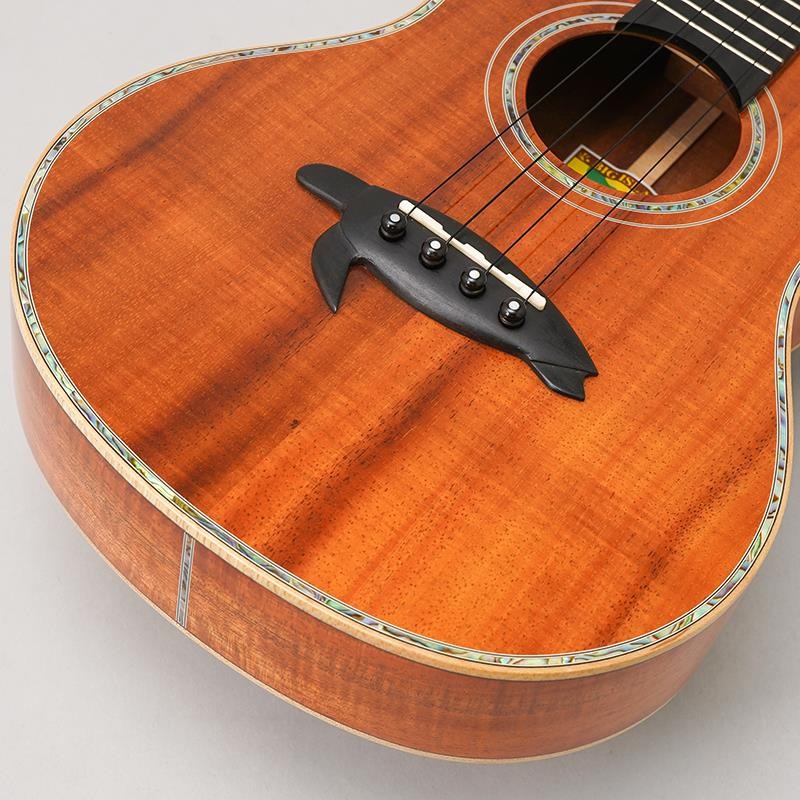 BIG ISLAND USED 中古 KX-TRG ビッグアイランド 画像7