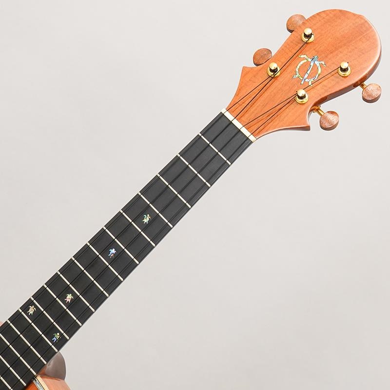 BIG ISLAND USED 中古 KX-TRG ビッグアイランド 画像8