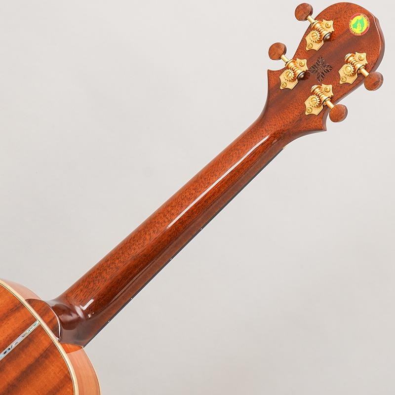 BIG ISLAND USED 中古 KX-TRG ビッグアイランド 画像9