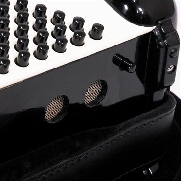 unknown USED 中古 【夏のボーナスセール】 EXCELSIOR Mod.901(訳あり品) M.M.M.L ミュゼット エキセルシァー イタリア製 ボタン式 クロマチックアコーディオン 120ベース 画像3