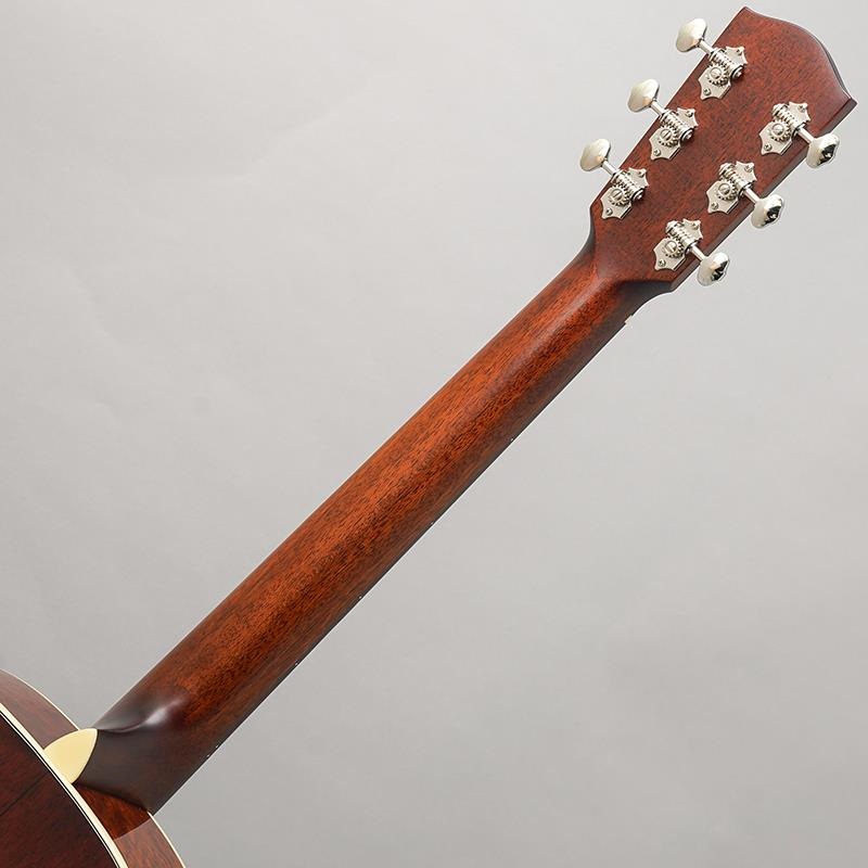 EASTMAN E6-LGSS-TC Sunburst イーストマン 画像10