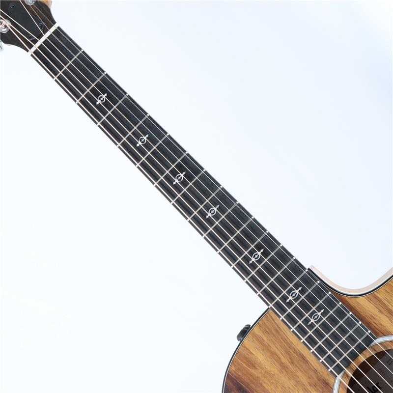 TAYLOR 【特価】【創業50周年大決算SALE】 Custom 224ce-K DLX テイラー 画像6