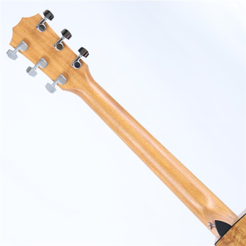 TAYLOR 【特価】【創業50周年大決算SALE】 Custom 224ce-K DLX テイラー 画像7