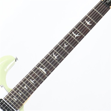 P.R.S. SE Studio Standard (Sage Green) 画像5