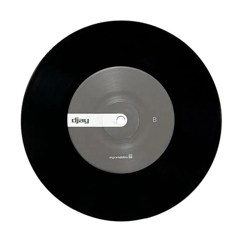 stokyo Algoriddim × stokyo / djay Control Vinyl 7 Black (DJAY7-001) 画像4