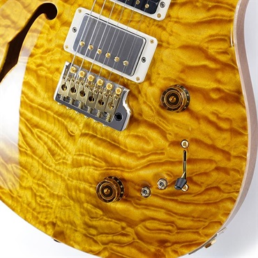 P.R.S. Ikebe 50th Anniversary Wood Library Special Semi-Hollow (Honey Gold) SN.0401650 画像4