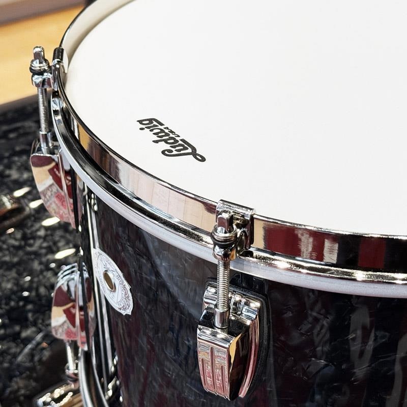 Ludwig L84233LXA8WCN [Classic Maple Royal Street Select
