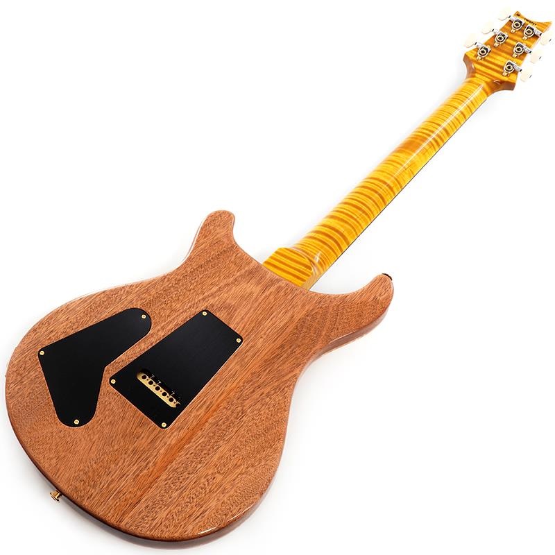 P.R.S. Ikebe 50th Anniversary Wood Library Special Semi-Hollow (Honey Gold) SN.0402027 画像2