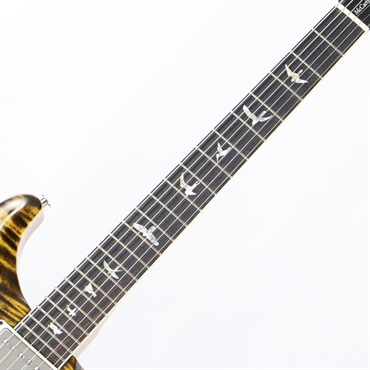 P.R.S. McCarty 594 Hollowbody II  (Yellow Tiger)  [SN.0401745] 【2025年生産モデル】 画像7