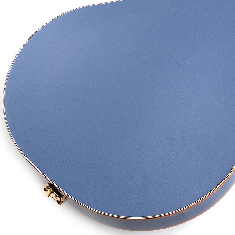 GRETSCH Professional Collection Falcon Hollow Body with String