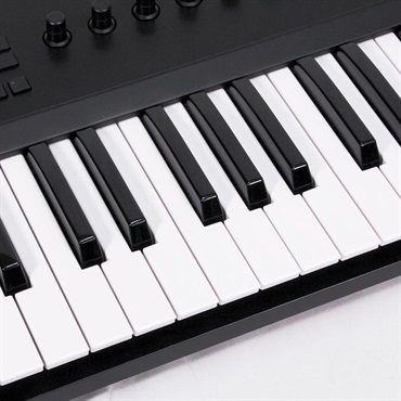 Native Instruments USED 中古 KOMPLETE KONTROL A49(ネイティブインストゥルメント)(MIDIキーボード) 画像1