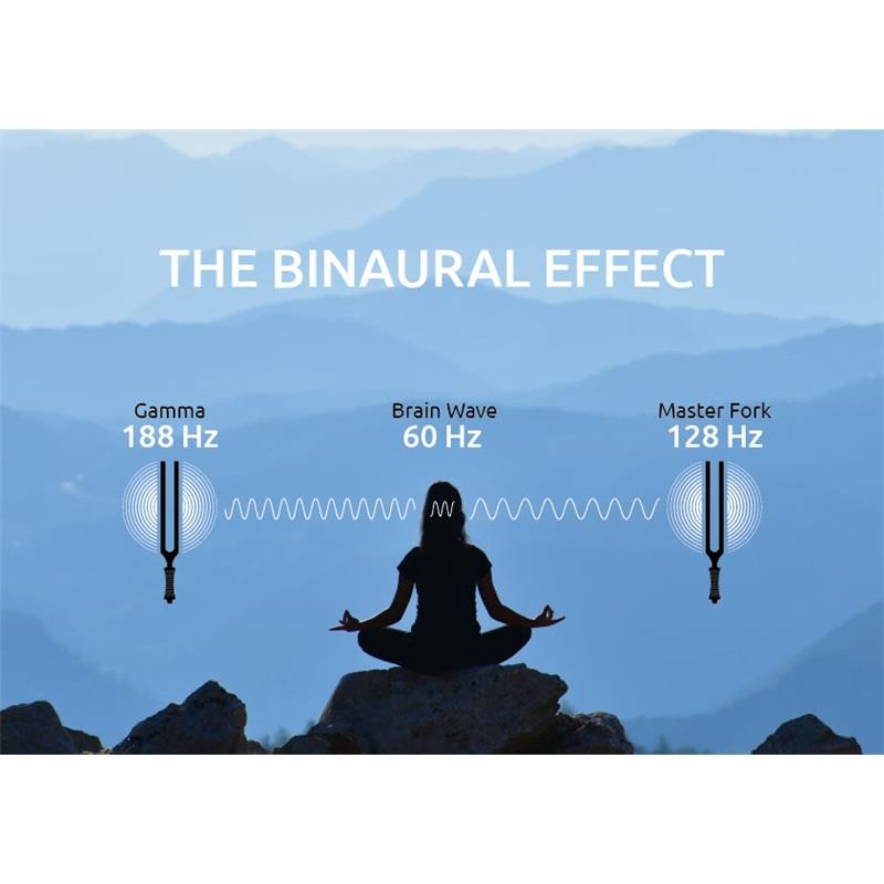 MEINL TTF-GAMMA [Binaural Therapy Tuning Forks / 188 Hz] 画像3