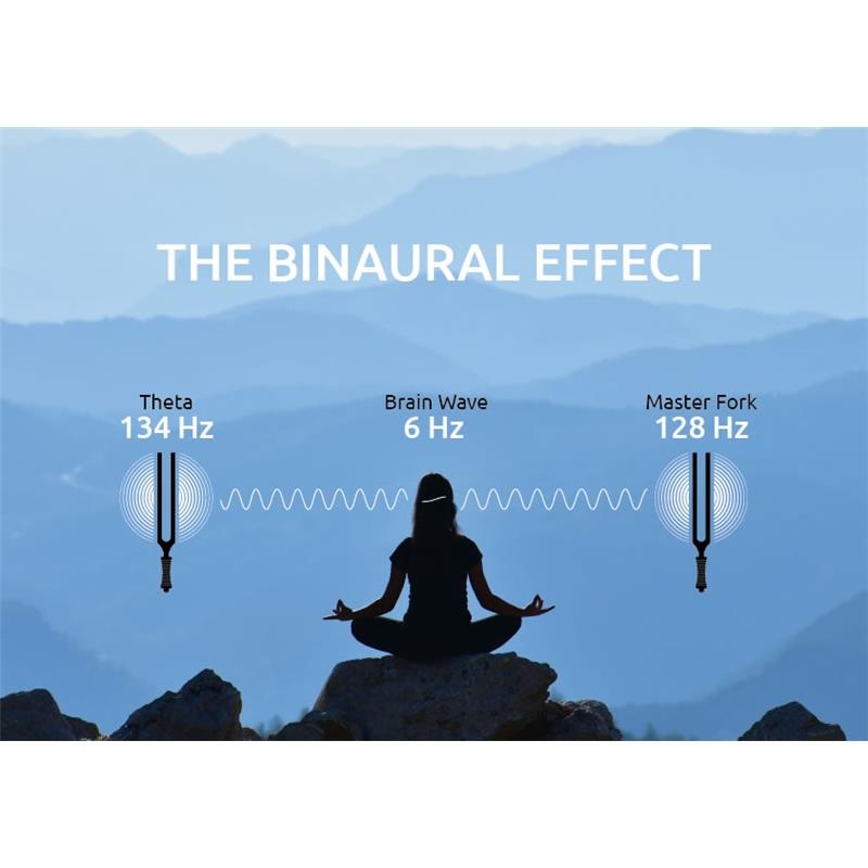 MEINL TTF-THETA [Binaural Therapy Tuning Forks / 134 Hz] 画像3