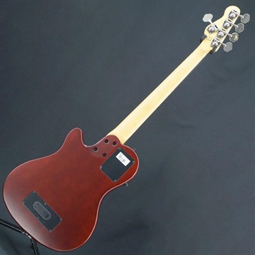 Godin USED 中古  A5 Ultra Natural Fretless A/E 画像3
