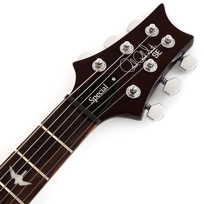 P.R.S. SE Special Semi-Hollow (Orange Tiger Smokeburst) 画像6
