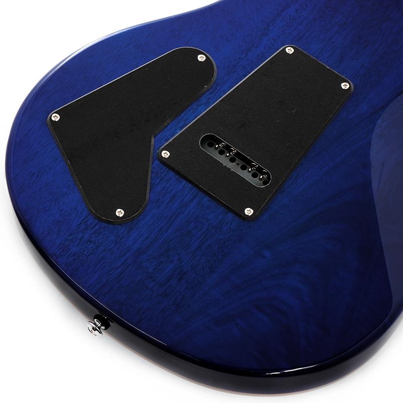 P.R.S. SE Special Semi-Hollow (Lake Blue) 画像7