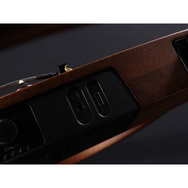 NATASHA USED 中古 NBSG Bass Fretless 画像4
