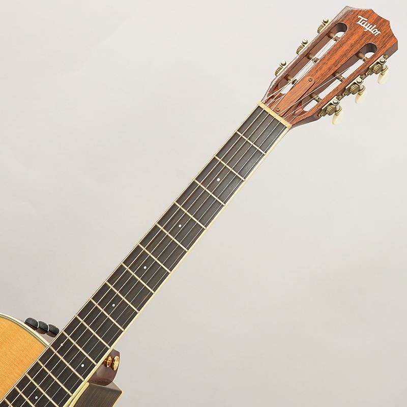 TAYLOR USED 中古 Specialty 12-Fret テイラー 画像7