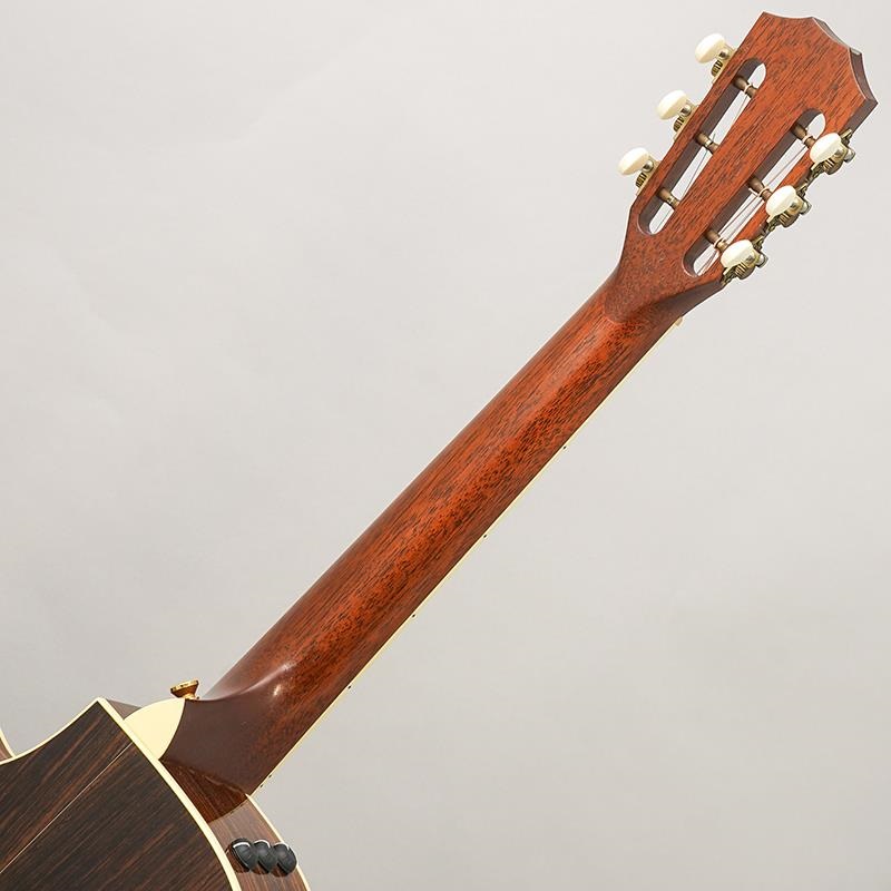 TAYLOR USED 中古 Specialty 12-Fret テイラー 画像8