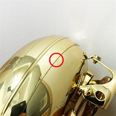 Selmer Paris 【チョイキズ特価!!】【中村誠一氏選定品】アルトサックス セルマー AXOS（アクソス） Second Generation 【調整&セットアップ後出荷】【5年間キーバランス調整無料】 画像7
