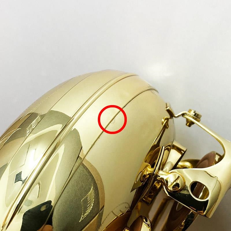 Selmer Paris 【チョイキズ特価!!】【中村誠一氏選定品】アルトサックス セルマー AXOS（アクソス） Second Generation 【調整&セットアップ後出荷】【5年間キーバランス調整無料】 画像7