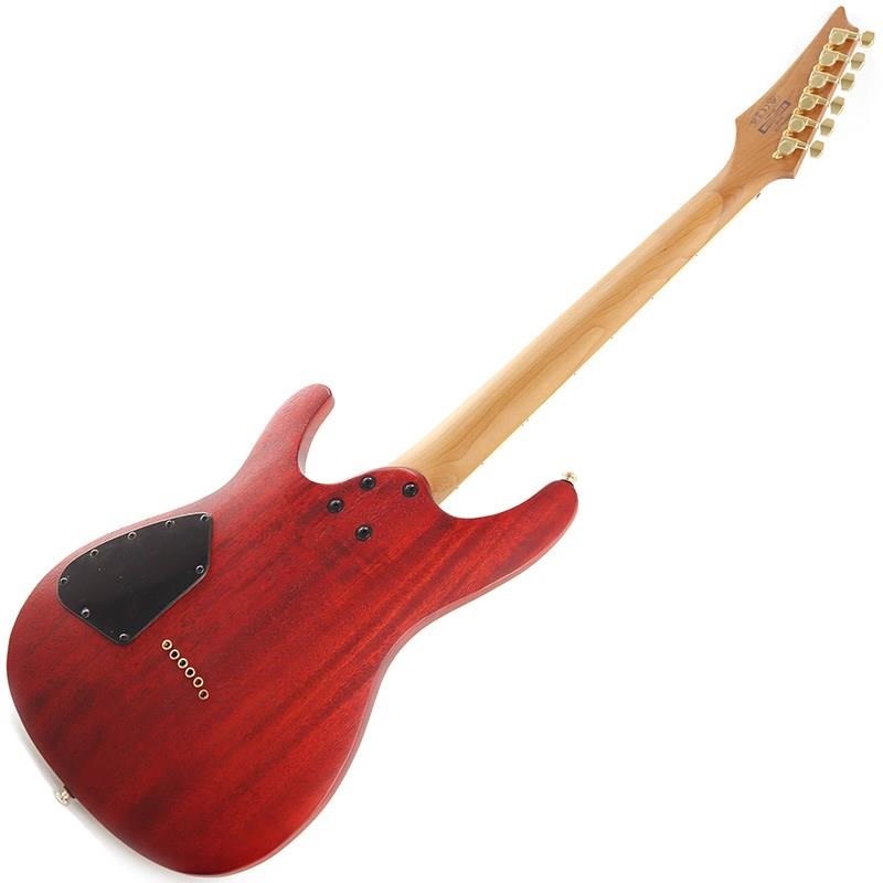 Ibanez SEW761FM-NTF【特価】 画像2
