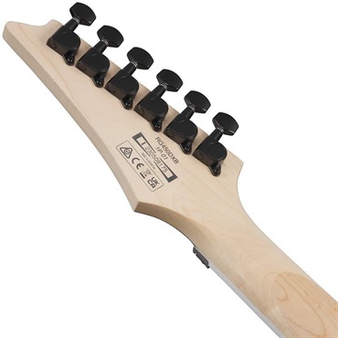 Ibanez RG450DXB-WH【特価】 画像5