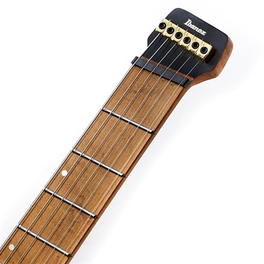 Ibanez MGFM10-OBL (Obsidian Black Low Gloss) [Manuel Gardner Fernandes Model] 特価 画像8