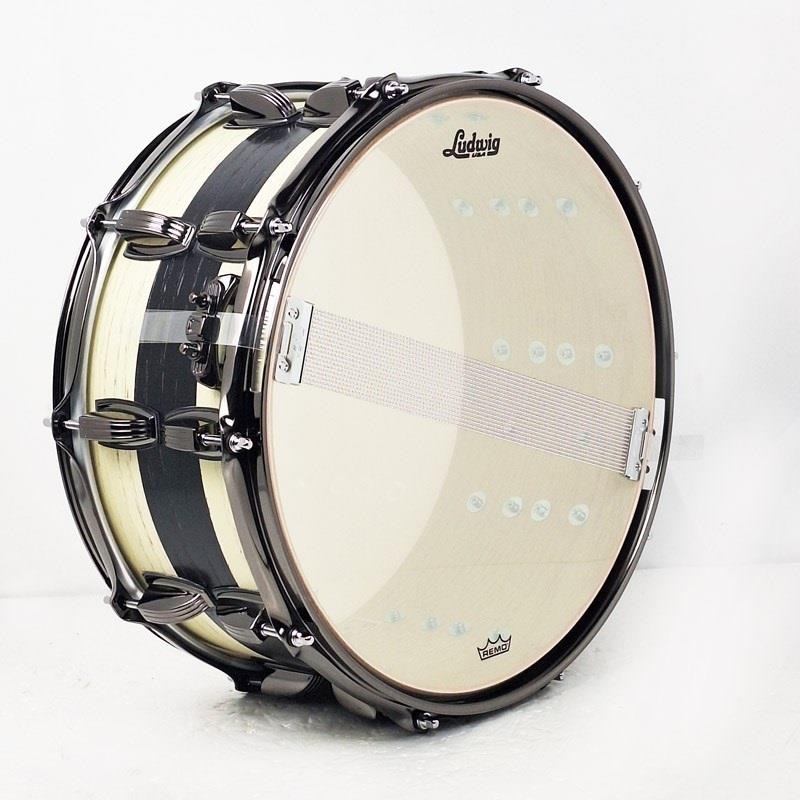 Ludwig 【創業50周年大決算SALE】LS765XXBD [Classic Oak Snare Drum 14×6.5/Paint Finishes-Bandit]【店頭展示特価品】 画像4