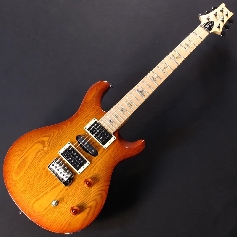 P.R.S. Swamp Ash Special (Jasper Smokeburst) SN.0403759