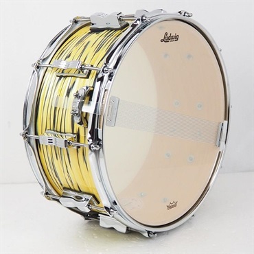 Ludwig 【創業50周年大決算SALE】LS403XXA2 [Classic Maple Snare Drum 14×6.5/Lemon Oyster]【店頭展示特価品】 画像4