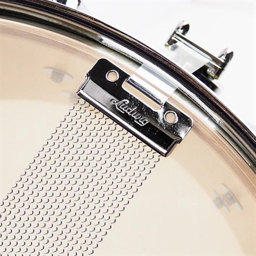 Ludwig 【創業50周年大決算SALE】LS403XXA2 [Classic Maple Snare Drum 14×6.5/Lemon Oyster]【店頭展示特価品】 画像7