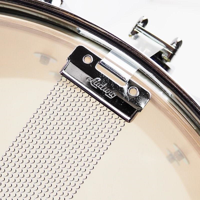 Ludwig 【創業50周年大決算SALE】LS403XXA2 [Classic Maple Snare Drum 14×6.5/Lemon Oyster]【店頭展示特価品】 画像7