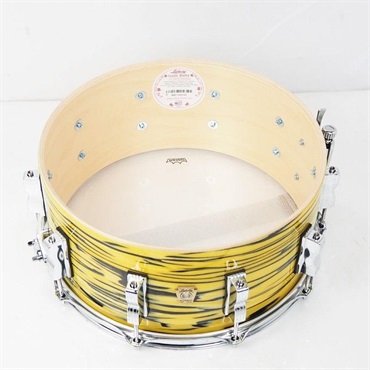 Ludwig 【創業50周年大決算SALE】LS403XXA2 [Classic Maple Snare Drum 14×6.5/Lemon Oyster]【店頭展示特価品】 画像8