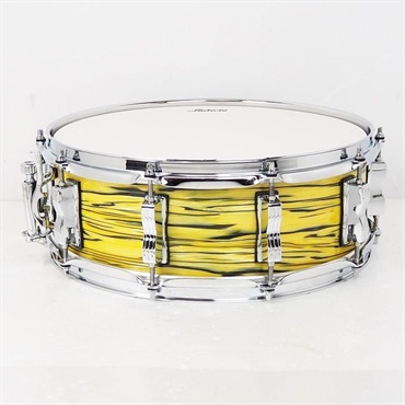 Ludwig 【創業50周年大決算SALE】LS401XXA2 [Classic Maple Snare Drum 14×5/Lemon Oyster]【店頭展示特価品】 画像1