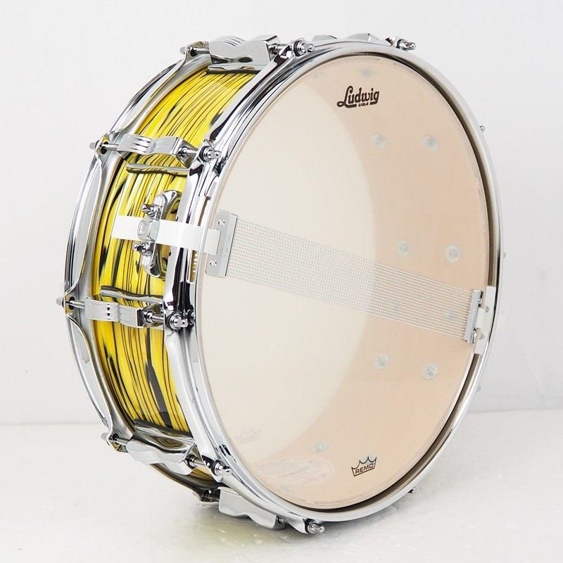 Ludwig 【創業50周年大決算SALE】LS401XXA2 [Classic Maple Snare Drum 14×5/Lemon Oyster]【店頭展示特価品】 画像4