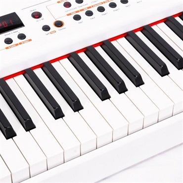 Studiologic USED 中古 　Numa Stage※配送事項要ご確認　スタジオロジック 画像5