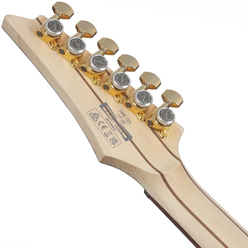 Ibanez 【6月18日入荷予定】 Axe Design Lab SML721-MAM (Midnight Arctic Ocean Matte) [SPOT MODEL] 画像5