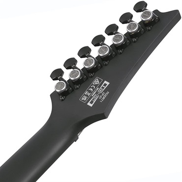 Ibanez 【6月18日入荷予定】 IRON LABEL RGDRB71-BKF (Black Flat) [SPOT MODEL] 画像5