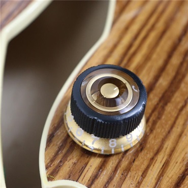 Ibanez USED 中古 AS93ZW (NT) [SN.PW20060070] 画像9