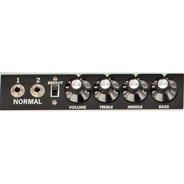Fender USA Tone Master Twin Reverb（アンプ コンボ フェンダー） 画像2