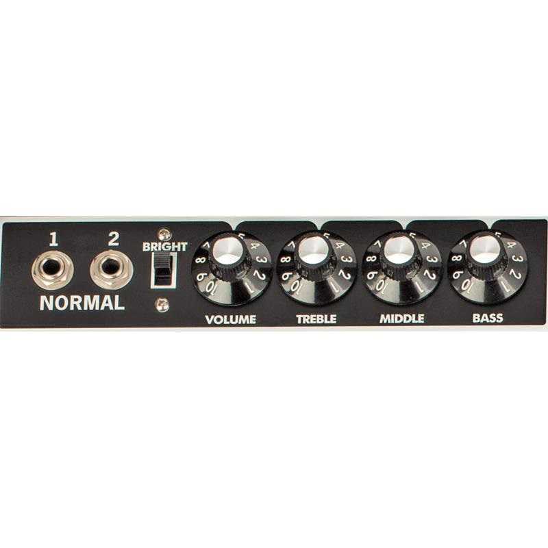 Fender USA Tone Master Twin Reverb（アンプ コンボ フェンダー） 画像2