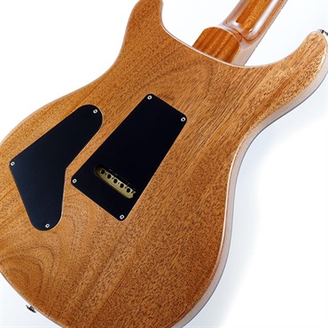 P.R.S. 40th Anniversary Custom 24 Limited Edition (Custom Color) SN.0400909 画像7