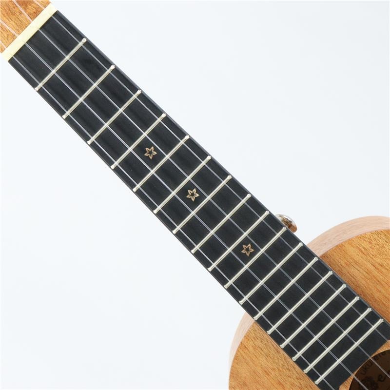 unknown USED 中古 ENYA EUS-25D エンヤ 画像6