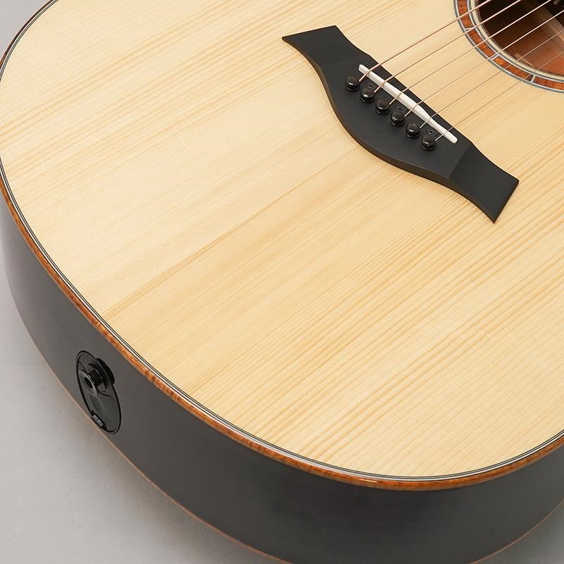TAYLOR Custom GC Mahogany/ Adirondack spruce [NAMM 2025 Model C12e B5037] テイラー 画像7