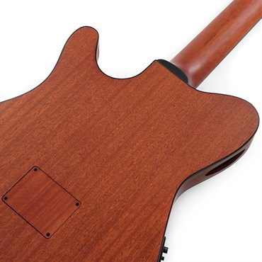 Ibanez FRH10N-IBF [SPOT MODEL] 画像5
